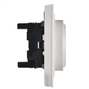 Розетка 2-м СП BRITE РС12-3-БрЖ 16А в сборе с заземл. без защ. шторок жемчуж. BR-R21-16-K36-F