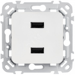 FLITE Розетка USB A+A 3,1А РЮ-2-ФлБ белый IEK FI-U21-D31-K01