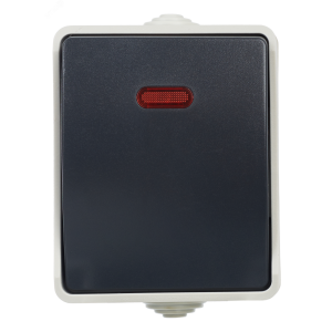 Выключатель 1-кл. ОП Форс 10А IP54 ВС20-1-1-ФСр с индикацией сер. EVS11-K03-10-54-DC