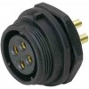 SP2112/S31N