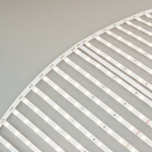 Лента RT-ONIX-A640-410mm 24V Day4000 (43.6 W/m, IP20, 2835, 3m) 027120(2), Лента-сеть из шести сегментов по 20 линий, соединенных между собой платой длиной 500 мм, расстояние между центрами линий 25мм, общая длина сети 3000 мм, светодиоды smd 2835, 640 шт/м (1920шт на 3м), белая плата 8мм, скотч 3М. Цвет ДНЕВНОЙ 3900-4000K Напря