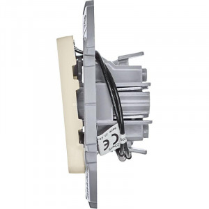 Выключатель 2-кл. Inspiria 10А IP20 250В 10AX с подсветкой/индикацией механизм сл. кость Leg 673631