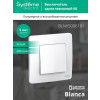 Выключатель 1-кл. СП Blanca 6А IP20 (сх. 1) 250В бел. SE BLNVS006101
