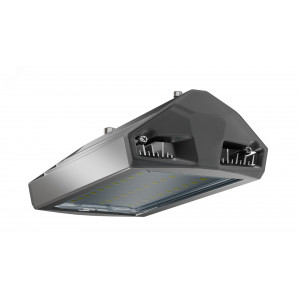 Светильник уличный ЕСАУЛ ДКУ-50 750 ШБ УТ000020649