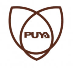 Логотип Puya Semiconductor Co., Ltd.