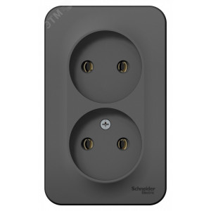 Розетка 2-м ОП Blanca 16А IP20 250В без заземл. без защ. шторок с изолир. пластиной антрацит SE BLNRA000216
