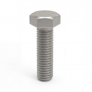 Болт с шестигранной головкой М10х25 (уп.50шт) CM021025