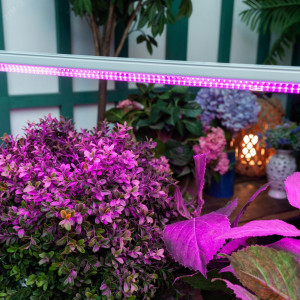 Светильник для растений ULI-P21-24W/SPSB IP40 WHITE светодиодный линейный 872 мм выкл на корпусе Алюминий Спектр для рассады и цветения UL-00008921