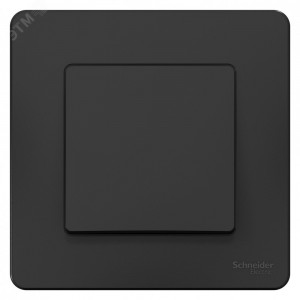 Переключатель проходной 1-кл. СП Blanca 10А IP20 (сх. 6) 250В антрацит SE BLNVS010606