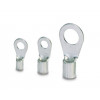 Кольцевой наконечник BT012-248, RNBL1.25-4