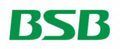 Логотип ZheJiang BSB Electrical Appliances co.,ltd
