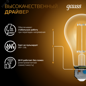 Лампа Filament А70 30W 3000lm 2700К Е27 LED 1/10/40 102902130