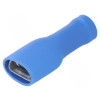 FLVDDF2-250A BU (PA)(S) K