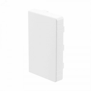 Заглушка LAN 100x60 (розница, 2 шт в пакете) 00874R