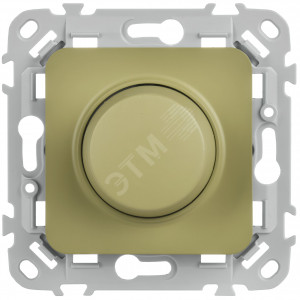 FLITE Светорегулятор проходной LED 250Вт СС16-5-1-ФлО оливковый IEK FI-D22-0250-P-K26