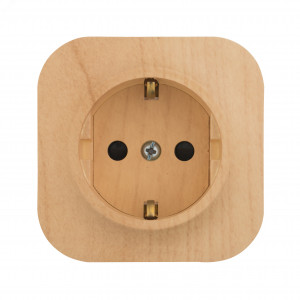 Розетка 1-м ОП Quteo 16А IP20 250В 2P+E с заземл. защ. шторки дерево Leg 782280