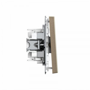 ARTGALLERY 1-клавишный ПЕРЕКЛЮЧАТЕЛЬ, 10АХ, механизм, быстрозажимные клеммы, ШАМПАНЬ GAL000561S