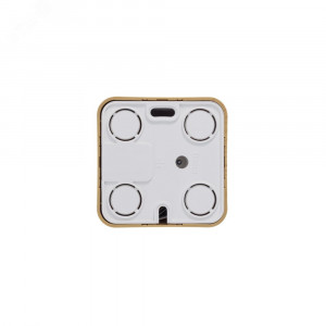 Розетка BLANCA наружная телефонная RJ11, с изолирующей пластиной, ясень BLNIA011005