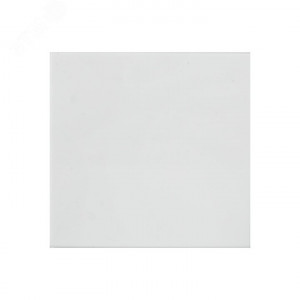 Выключатель 1-кл. 10А, без индикатора E2MV10-021-10