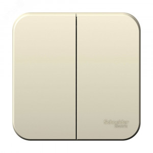 BLANCA О/У 2-клавишный ВЫКЛЮЧАТЕЛЬ (cх.5), 6А, 250В, МОЛОЧНЫЙ BLNVA065002