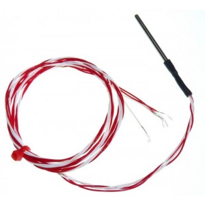 RAA-S2B-4.0-125-NP-1.0-C5-T-PT1000