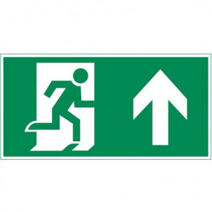 Пиктограмма "ФИГУРА / СТРЕЛКА ВВЕРХ" 300х150мм для аварийно-эвакуационного светильника Vision/Giant V5-EM03-60.003.016