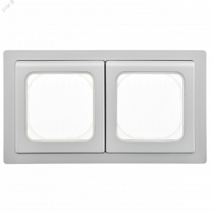 FLITE Рамка 2-местная IP55 Рпро-2-55-ФлА алюминий IEK FI-M20-32-55-K47