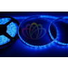 LED лента 5м силикон, 8 мм, IP65, SMD 2835, 60 LED/m, 12 V, цвет свечения синий LAMPER 141-353