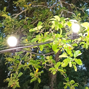 Гирлянда светодиодная 