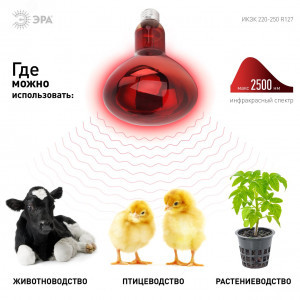 Инфракрасная лампа ИКЗК 220-250 R127 для обогрева животных 250 Вт Е27 Б0042980