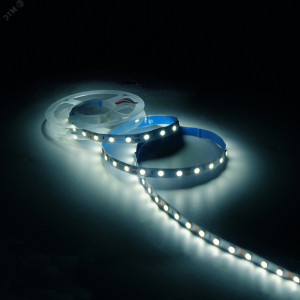 Лента Basic LED 5050/60 12V 10W/m 700lm/m 4000K 10mm IP20 1m 1/100 BT034