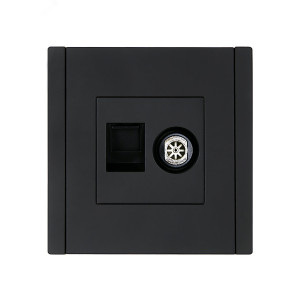FORTE&PIANO Розетка двойная TV+RJ45 кат.6 FP137 черный IEK FP-AK20-2-K02