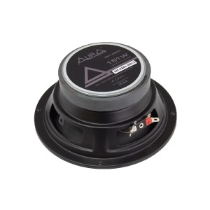 AURA SM-A654 (пара), СЧ драйвер. Частота 100-10000 Гц RMS-150Вт MAX-250Вт 4 Ом чувствительность 93дБ