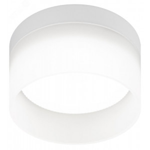 Светильник настенно-потолочный спот OL30 WH GX53 белый Б0056359