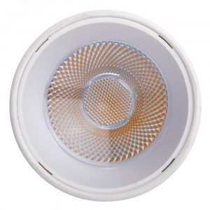 Светильник светодиодный на шинопровод ДПО- 8Вт 4000K 24- (белый) IP40 Jazzway 5022171