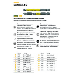 Биты кованые сталь S2 односторонние 100 мм PH2 Профи 2 шт блистер 57509
