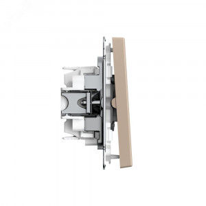 ARTGALLERY 2-клавишный ПЕРЕКЛЮЧАТЕЛЬ, 10АХ, механизм, быстрозажимные клеммы, ПЕСОЧНЫЙ GAL001265S